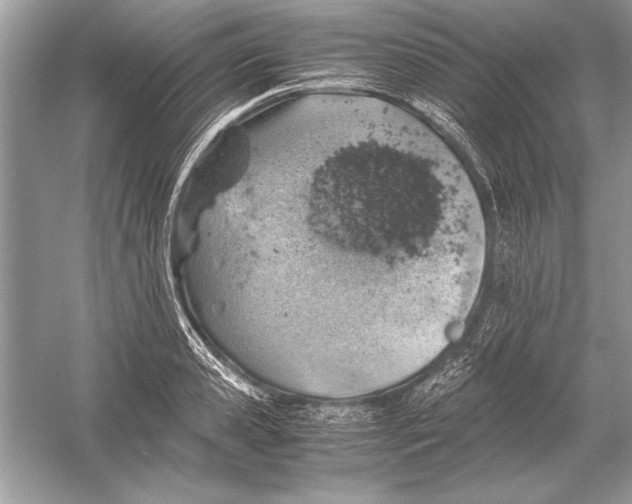 X0000051880941200507221946