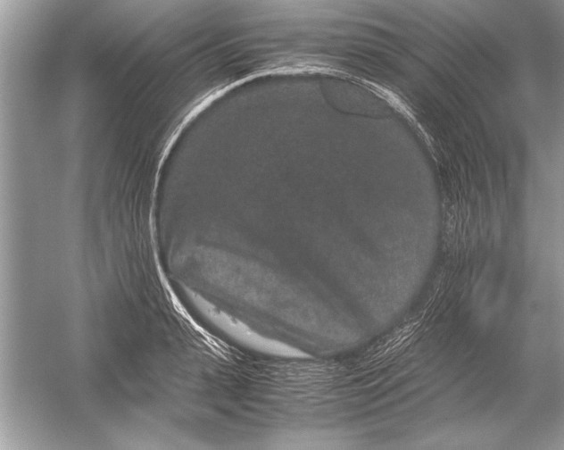 X0000051880943200507221946