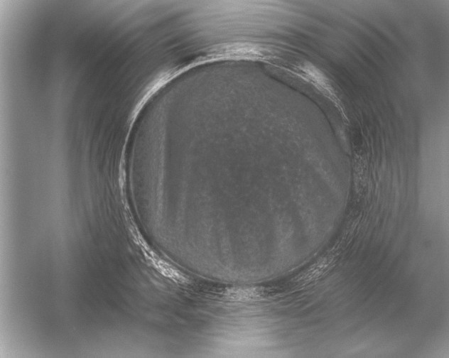 X0000051880944200507221946