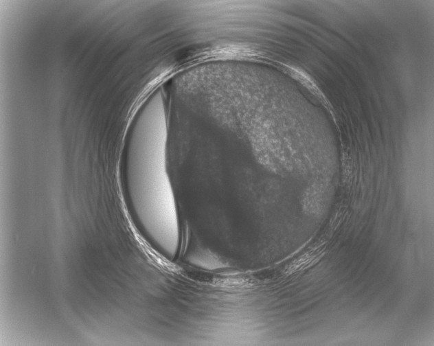 X0000051880946200507221946