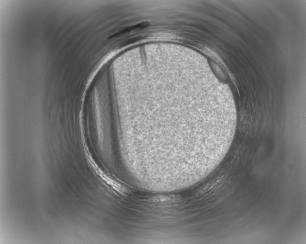 X0000051880947200507221946