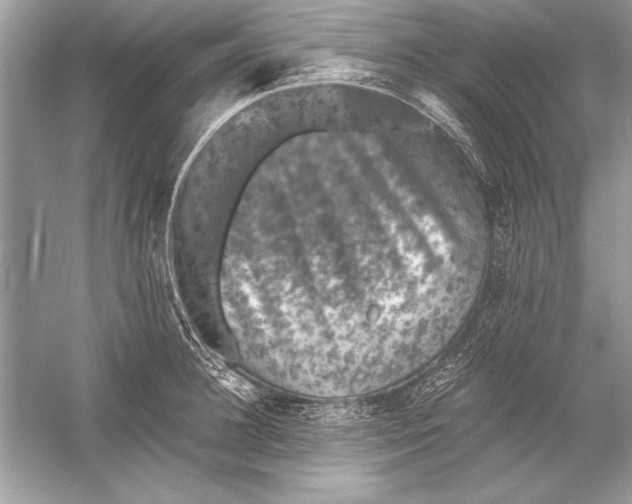 X0000051880948200507221946