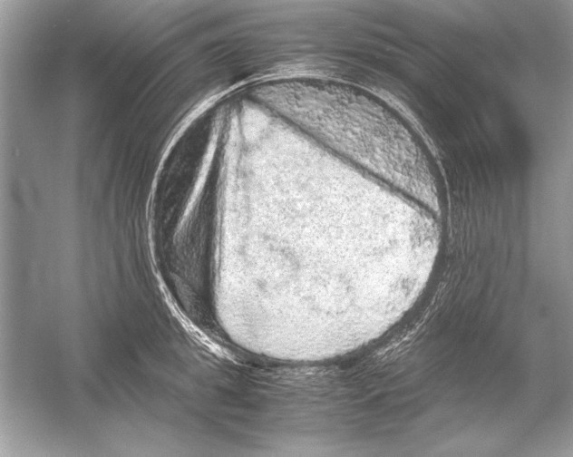 X0000051880949200507221946