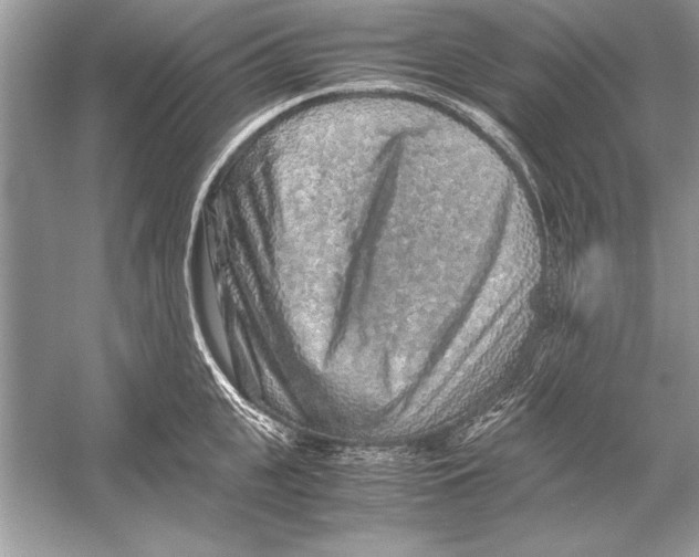 X0000051880951200507221946