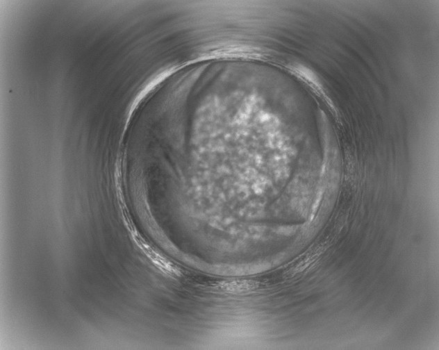 X0000051880952200507221946