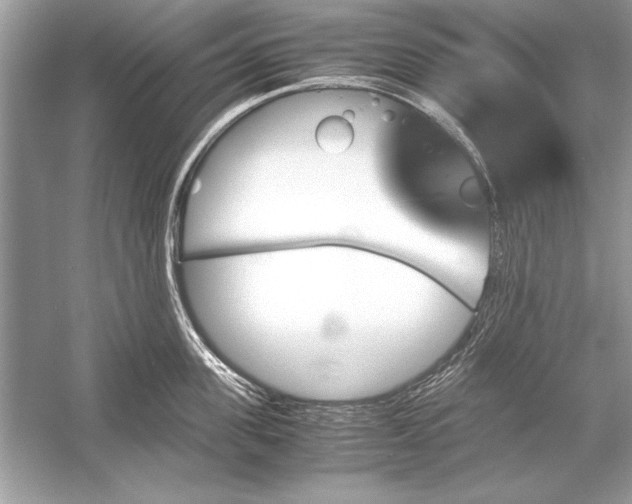 X0000051880955200507221946