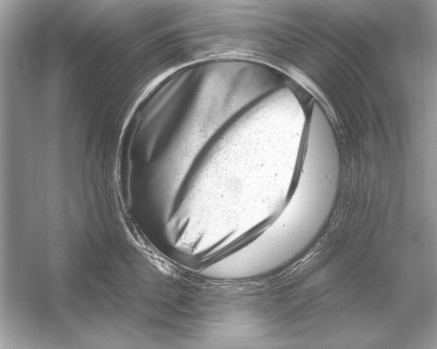 X0000051880956200507221946