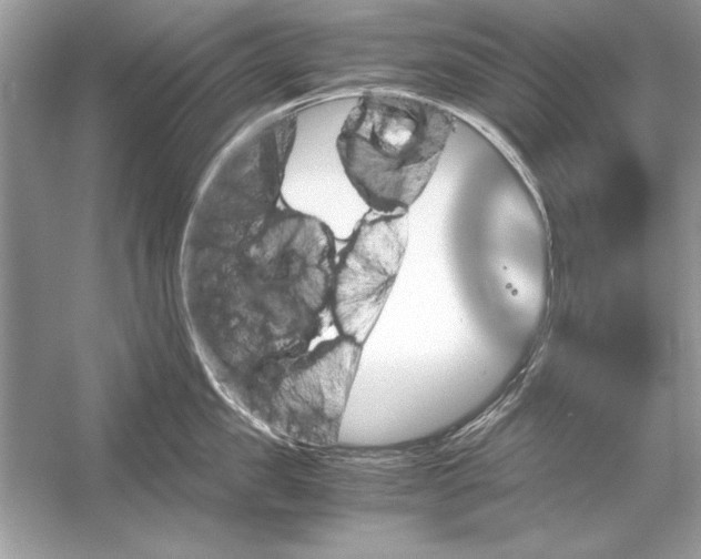 X0000051880957200507221946