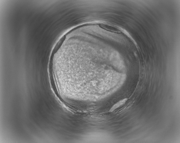 X0000051880959200507221946