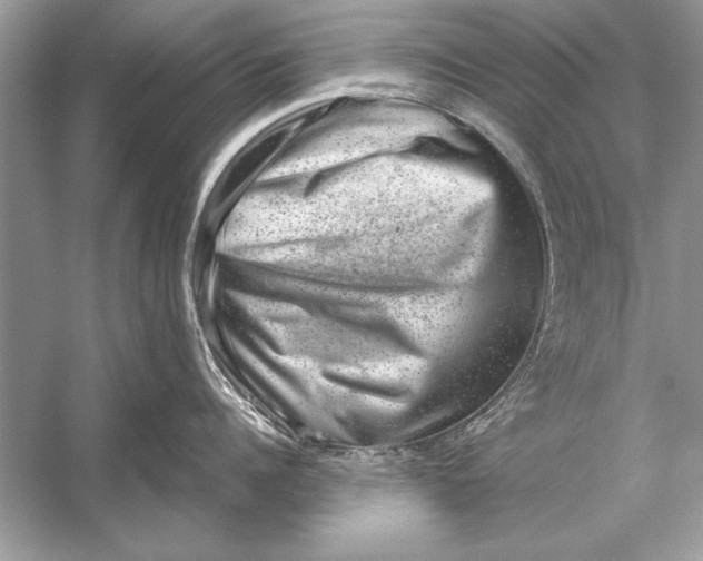 X0000051880960200507221946