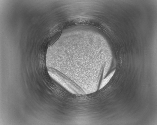 X0000051880964200507221945