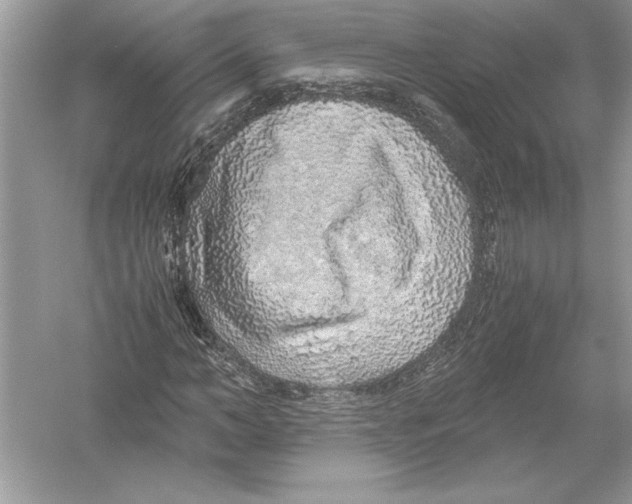 X0000051880966200507221945