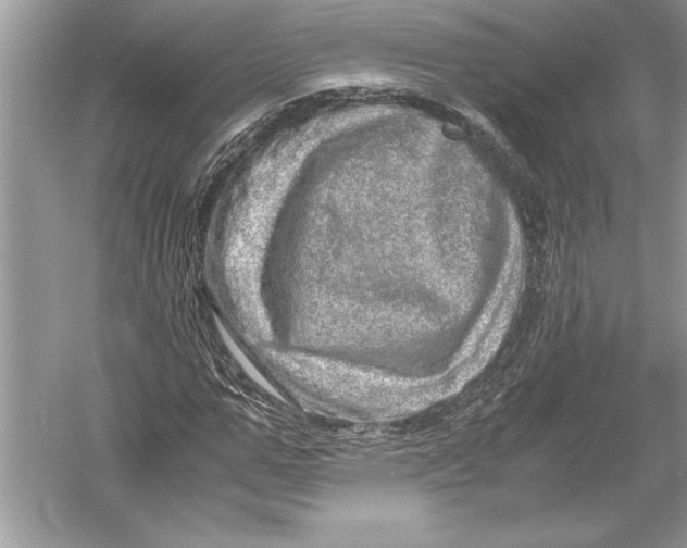 X0000051880967200507221945