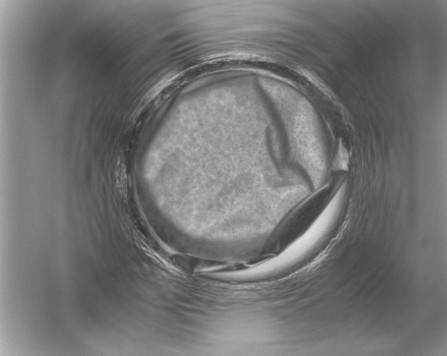 X0000051880969200507221945