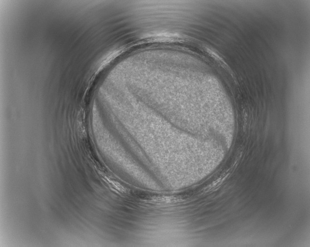 X0000051880970200507221945