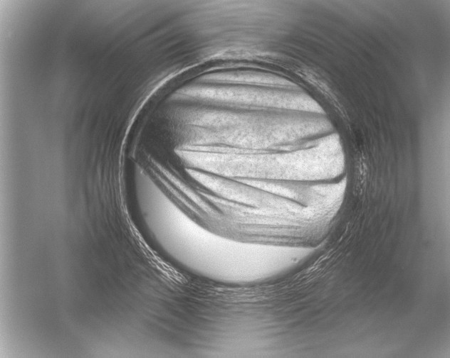 X0000051880976200507221945