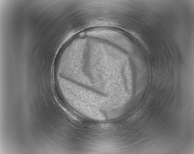 X0000051880982200507221945