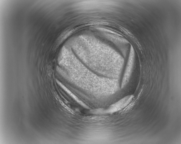 X0000051880985200507221945