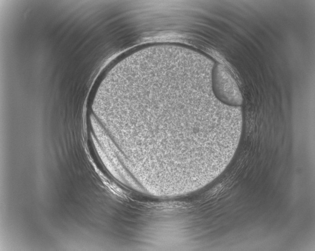 X0000051880988200507221945