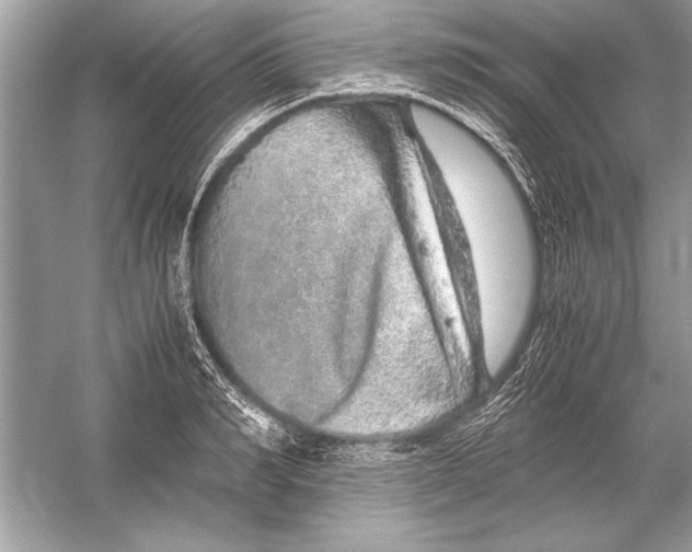 X0000051880990200507221945