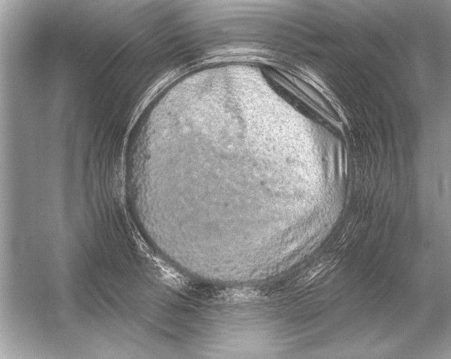 X0000051880994200507221945