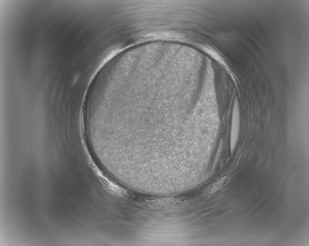 X0000051880999200507221945