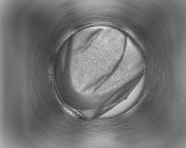 X0000051881001200507221945