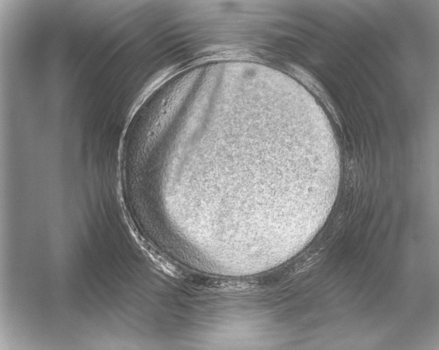 X0000051881002200507221945