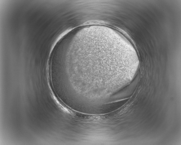 X0000051881003200507221945