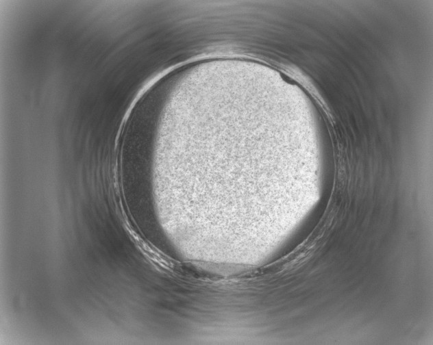 X0000051881004200507221945