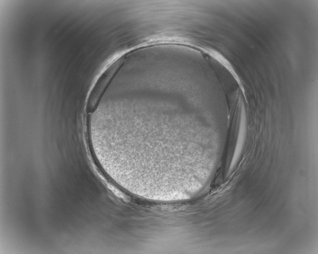 X0000051881005200507221944