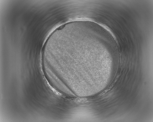 X0000051881006200507221944