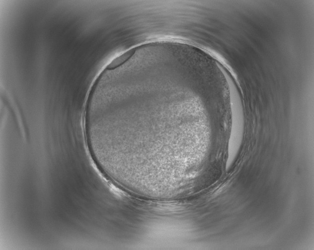 X0000051881007200507221944