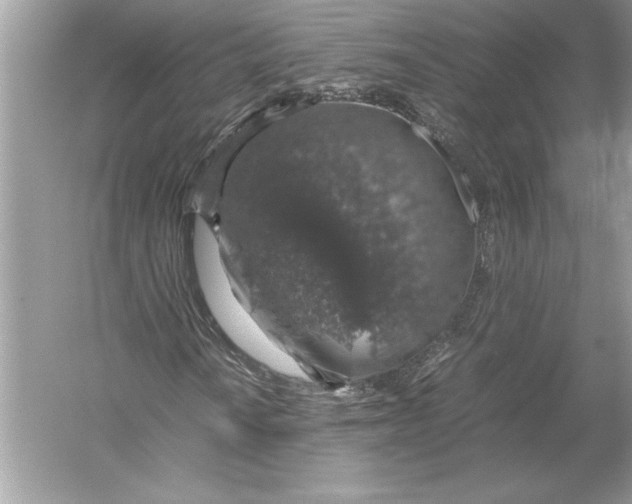 X0000051881010200507221944