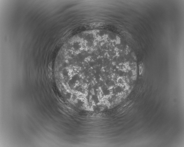 X0000051881011200507221944