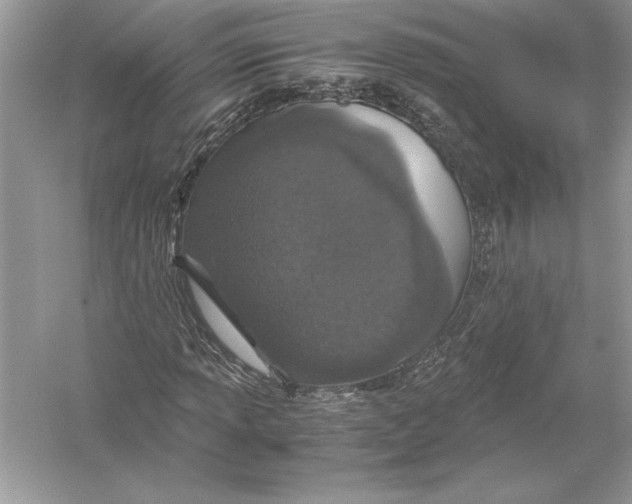 X0000051881013200507221944