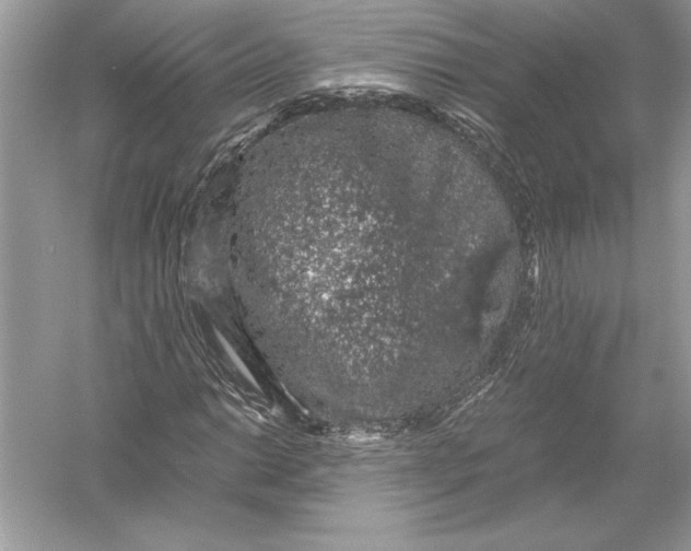 X0000051881014200507221944