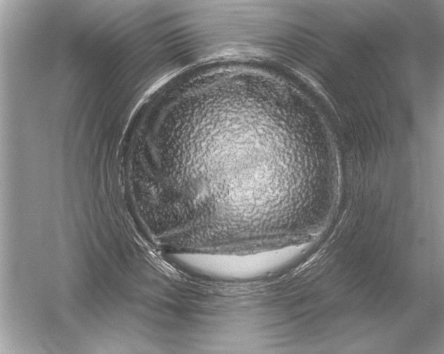 X0000051881018200507221944