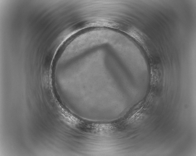 X0000051881020200507221944