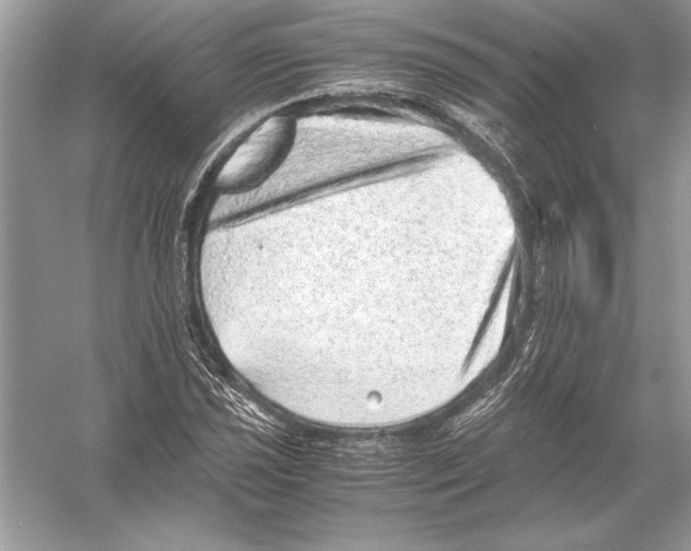 X0000051881021200507221944