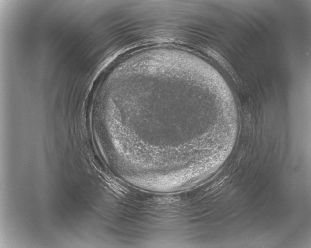 X0000051881023200507221944