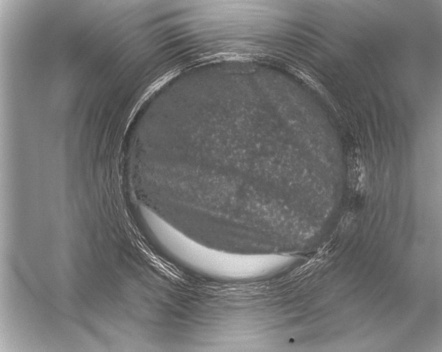 X0000051881026200507221944