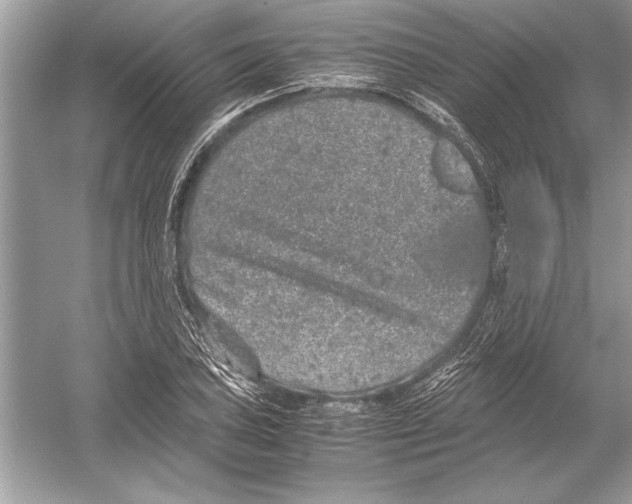 X0000051881027200507221944