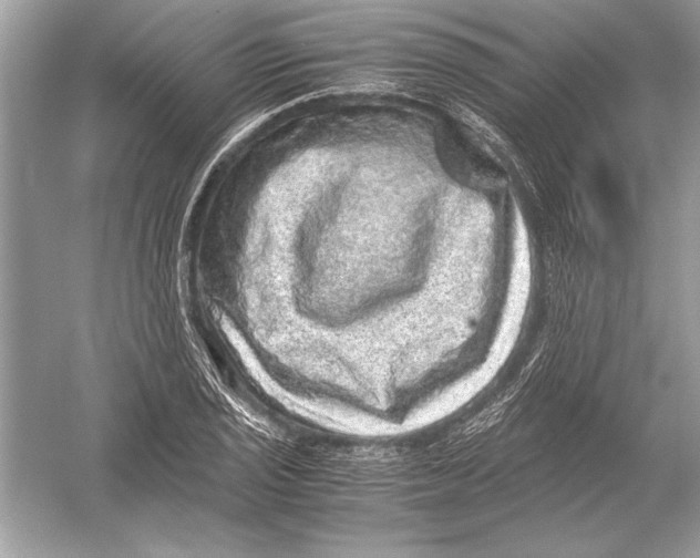 X0000051881029200507221944