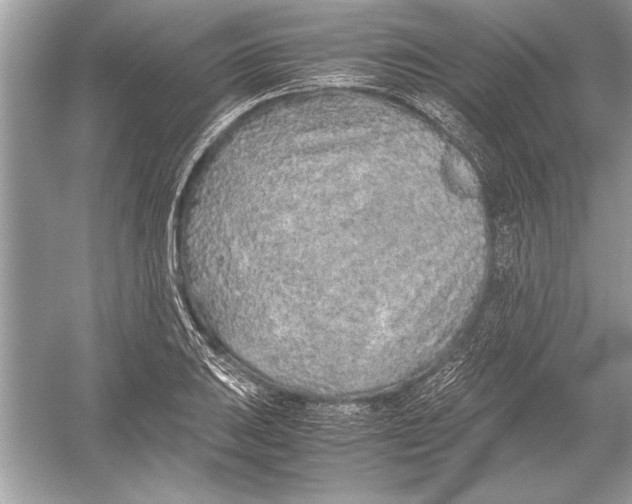 X0000051881031200507221944