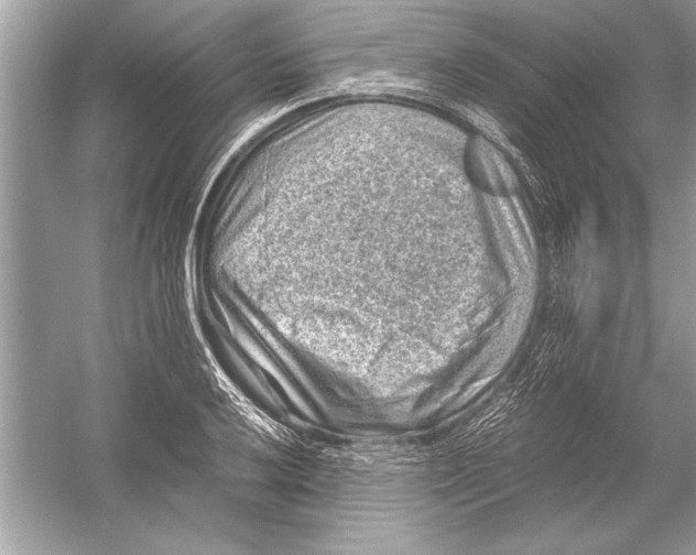 X0000051881032200507221944