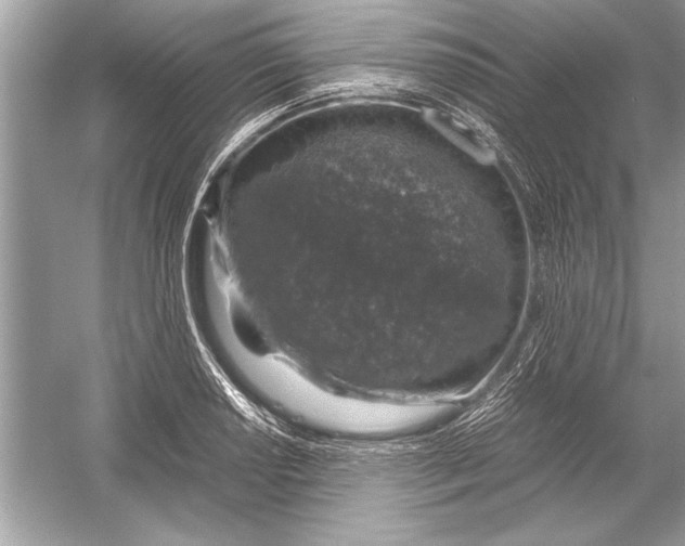 X0000051881034200507221944