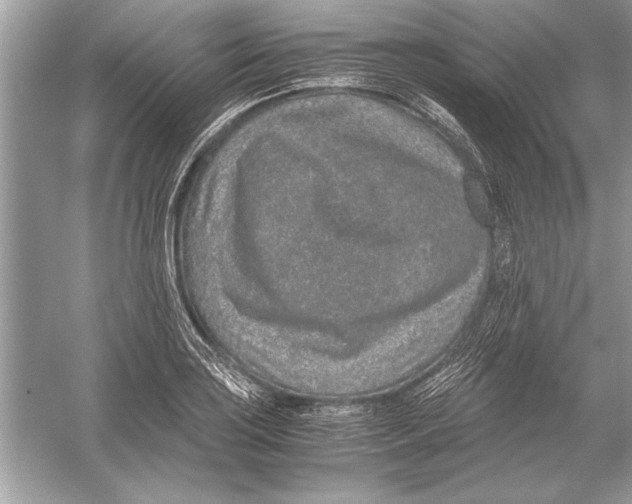 X0000051881035200507221944