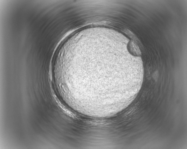 X0000051881036200507221944