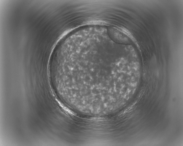 X0000051881037200507221944